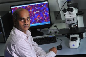 Dr Hari Babu Nadendla