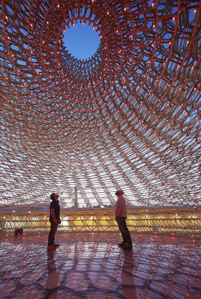 The Hive pavillion - Kew Gardens