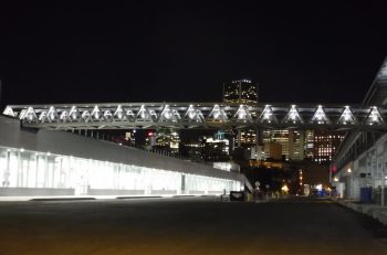 MAADI Aluminum Bridge