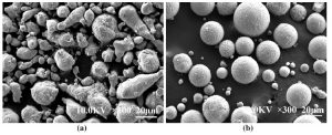 Comparative field emission scanning electron micrographs