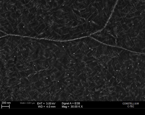 Figure 4. Microstructure showing T1 platelet particles in alloy 2050.