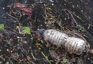 plastic water bottle trash