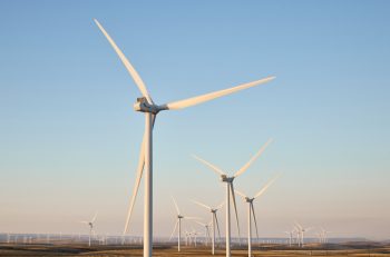 Apple-wind energy