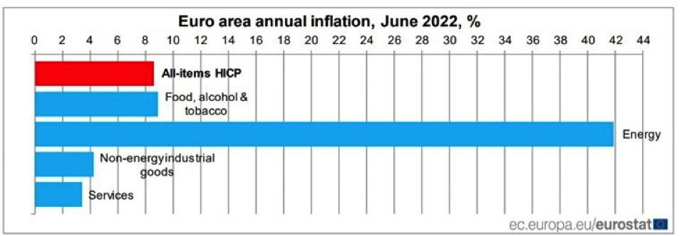 Figure 1. Percentage of annual inflation in Europe in June 2022. (Source: Eurostat.)